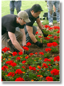 People Planting Flowers for Adopt a Park Program